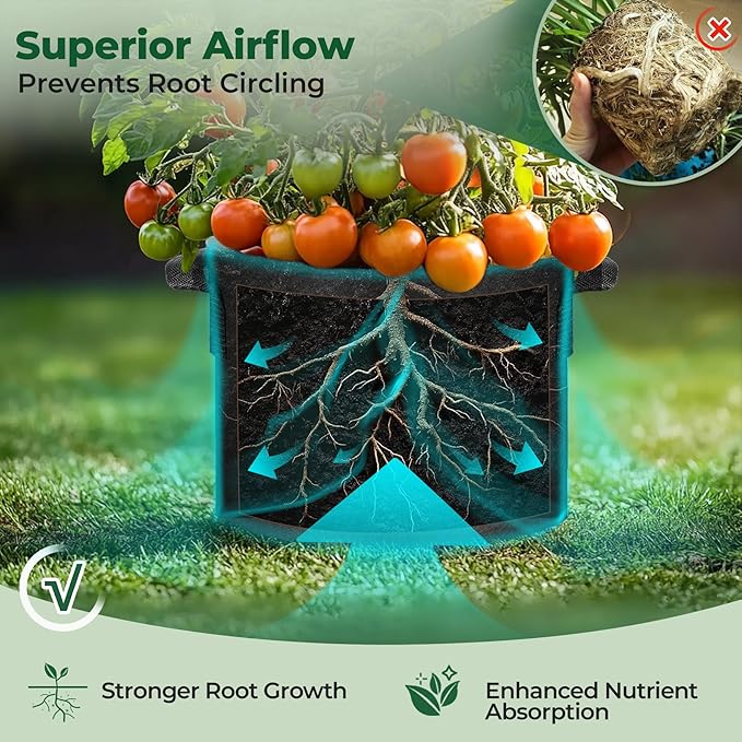 T4U 20 Gallon Grow Bags, Upgrade Fabric Grow Bags with Handles, Thickened Garden Plant Pots for Planting Vegetables, Tomato Planter, Smart Pots for Plants (10 Pack 10 Gal)