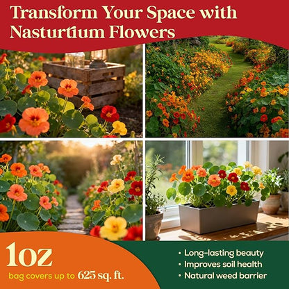 Nasturtium Seeds Pack 1 oz - 180 Non-GMO Heirloom Nasturtium Seeds for Planting, Perennial Flowers in Waterproof Seed Packet, Wildflower Seeds for Planting Garden Indoor & Outdoor Gardening