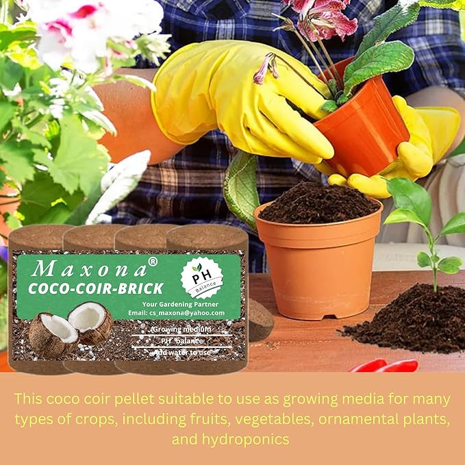 Maxona Seed Starter Coco Coir Peat Pellets - 50 Pcs 50mm (30g/Pcs) Compressed Pellet Mulching Medium for Plant, Easy to Expand, Organic Fiber Husk Substrate for Plants, Flowers, Herbs and Seedlings