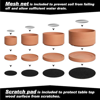 D'vine Dev Set of 4 Terracotta Shallow Planter Pots for Succulent, 3 Inch 4 Inch 5 Inch 6 Inch, Small Flower Plant Pots with Drainage and Saucer, 40-Z-0