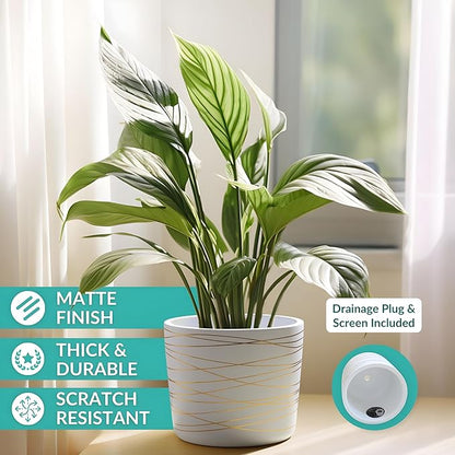 Willowy 9 Inch Ceramic Plant Pot - Matte White with Gold Stripes - Drainage Plug Included