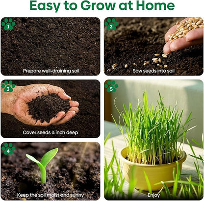Cat Grass Seeds, 4 Oz, Non-GMO Wheat Cat Grass Seeeds & Oat Seeds Mix, High Germination Cat Grass Seeds Grown in USA for Indoor Cats