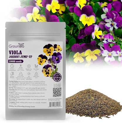 Johnny Jump Up Seeds, 10000+ Perennial Wild Violet Seeds for Planting, Edible Flowers, Non-GMO | Heirloom | Attracts pollinators, Grown in The USA
