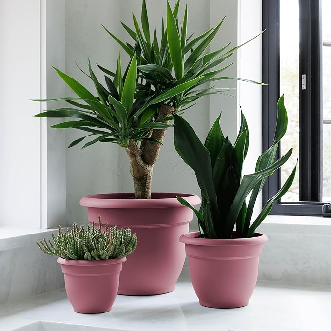 Bloem Ariana 8" Dusty Rose Round Self-Watering Resin Planter Pot - Rolled Rim Indoor and Outdoor Gardening Planter