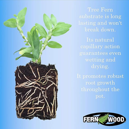 Fernwood Orchid Growing Medium and Reptile Substrate- Natural, Organic, Long Lasting | for Orchids and Other Epiphytes | Use in Terrariums and Vivariums | 10 Liters (9.1 U.S. Quarts)