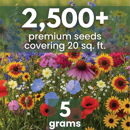 Midwest Regional Mix – 2,500 Seeds for Planting – 2026 Season – 5 Gram Pouch