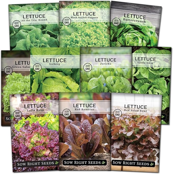 Sow Right Seeds - Large Lettuce Seed Collection for Planting - Buttercrunch, Jericho, Iceberg, Salad Bowl, Little Gem, Black-Seeded Simpson, Lolla Rosa - Non-GMO Heirloom - Outdoors or Hydroponics