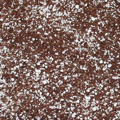 Organic Perlite for Plants, Horticultural Perlite Bulk, Soil Amendment for Enhanced Drainage and Plant Root Growth, Ideal for Potting Mixes (2 Quart)