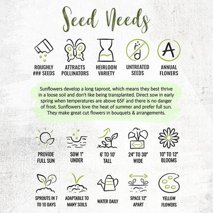 Seed Needs Sunflower Seeds to Plant Mammoth Grey Stripe | 2 Ounce Large Resealable Pouch Heirloom Seeds Helianthus Annuus Non GMO | Bulk Tall Growing Sun Flowers
