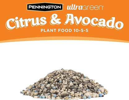 Pennington 100525941 UltraGreen Citrus & Avocado 10-5-5 Plant Food, 5 lb