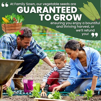 Luffa Gourd – 45 Premium Seeds for Planting – Natural Sponges, Vigorous Vines, Abundant Harvests for The 2026 Season – 5 Gram Pouch