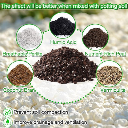 Perlite,Premium Oraganic Perlite Soil Amendment for Plant,Porous Volcanic Rock, Aeration & Drainage Enhancer, Ideal for Succulents, Flower Plants, Hydroponics-1 QT