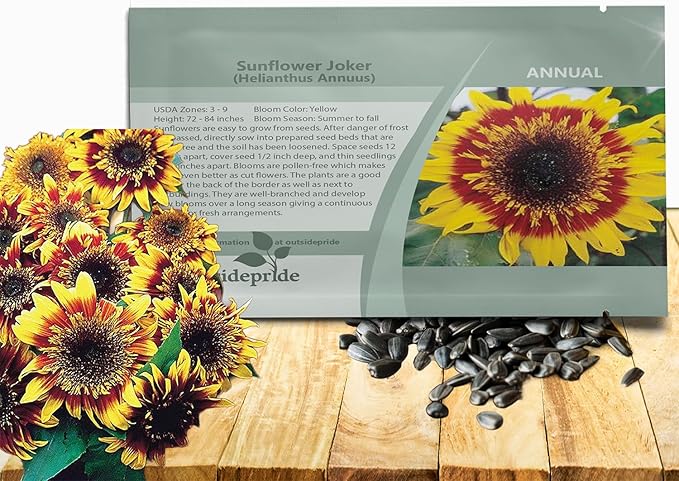 Outsidepride Joker Sunflower Seeds for Planting - 100 Pcs Annual, Easy to Grow Flower Seeds w/Vibrant, Abundant Blooms for Cut Flower Arrangements & Pollinator & Vegetable Gardens