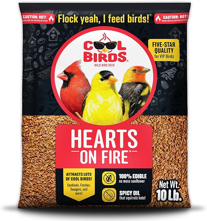 Hearts on Fire Hot Bird Seed – 10 lb. 100% Hulled Sunflower Hearts with Chili Pepper Oil – No Waste Bird Seed for Outside Feeders