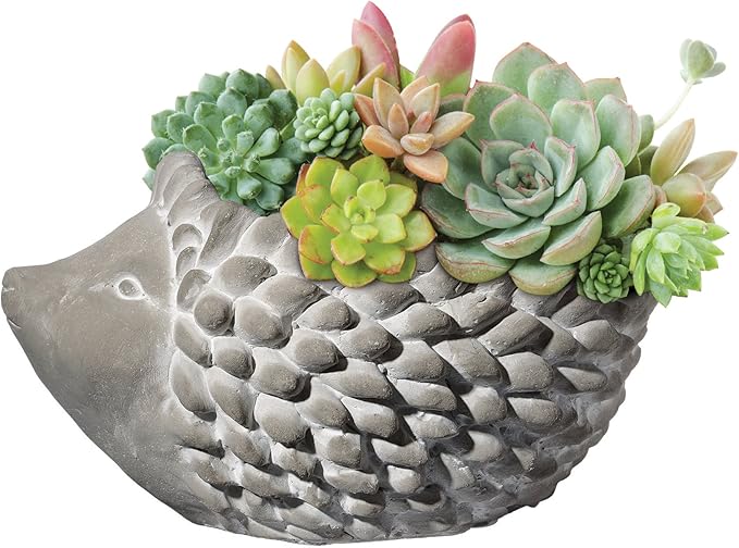 Classic Home and Garden Cement Buddies Animal Planter - Cute Desk Decoration - UV Coated Animal Vase w/Removable Drain Plug - Succulent Planter for Indoor/Outdoor Use (Hedgehog, Natural, Large)