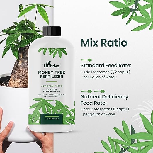 32oz Money Tree Plant Indoor Fertilizer - Makes 192 Gallons of Money Tree Fertilizer - Nutrient-Rich Plant Food with Macro & Micronutrients for Glossy Leaves, Strong Roots, and Lush, Tropical Growth