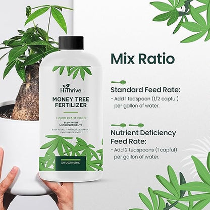 32oz Money Tree Plant Indoor Fertilizer - Makes 192 Gallons of Money Tree Fertilizer - Nutrient-Rich Plant Food with Macro & Micronutrients for Glossy Leaves, Strong Roots, and Lush, Tropical Growth