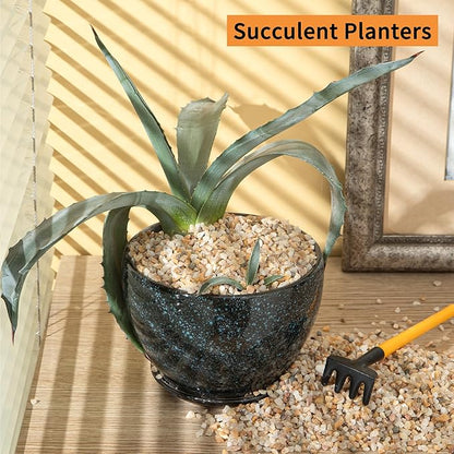 2lb Mixed Sand Rocks Pebbles Pumice Potting Soil Amendment Succulent Cactus Bonsai Gritty Rock Decorative Gravel for Succulents, Bonsai, Vase Fillers,Terrarium Plants