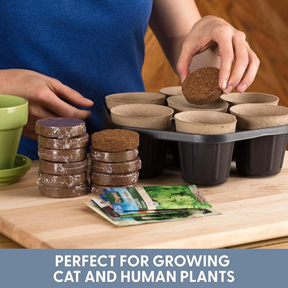 The Cat Ladies Potting Soil for Indoor/Outdoor Plants, Expands to Fit 3 Inch and 4 Inch Pots - 12 Pack