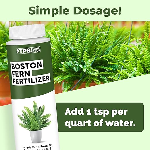 Boston Fern Fertilizer for Boston Fern, Great for Fluffy Ruffles, Dallas, and Compacta Fern Varieties, Liquid Fertilizer by TPS Plant Foods, 8 oz (250mL)