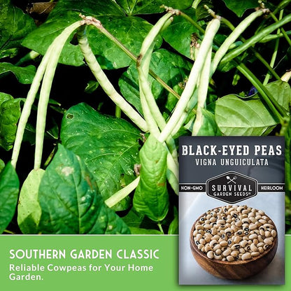 Black Eyed Pea Seeds for Planting - Heirloom Non-GMO Cowpea Variety - Drought Tolerant, High-Yield Southern Field Peas for Home Gardens and Food Independence - Survival Garden Seeds (1 Pack)