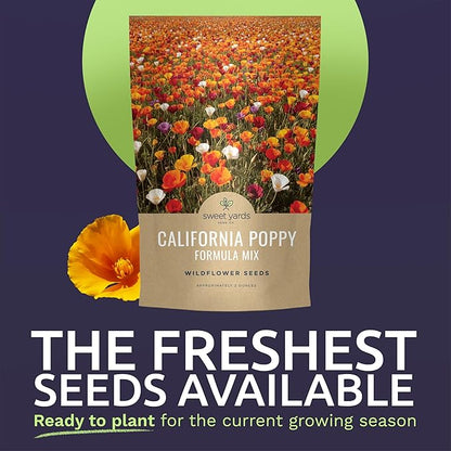 California Poppy – Formula Mix – Large 2 Ounces Seed Packet – 40,000 Flower Seeds for Planting – Eschscholzia californica