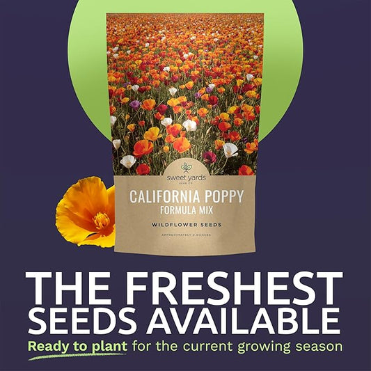 California Poppy – Formula Mix – Large 2 Ounces Seed Packet – 40,000 Flower Seeds for Planting – Eschscholzia californica