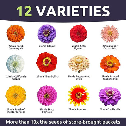 Zinnia Crazy Blend - Large 1 Ounce Packet - 4,000 Flower Seeds for Planting - Zinnia elegans