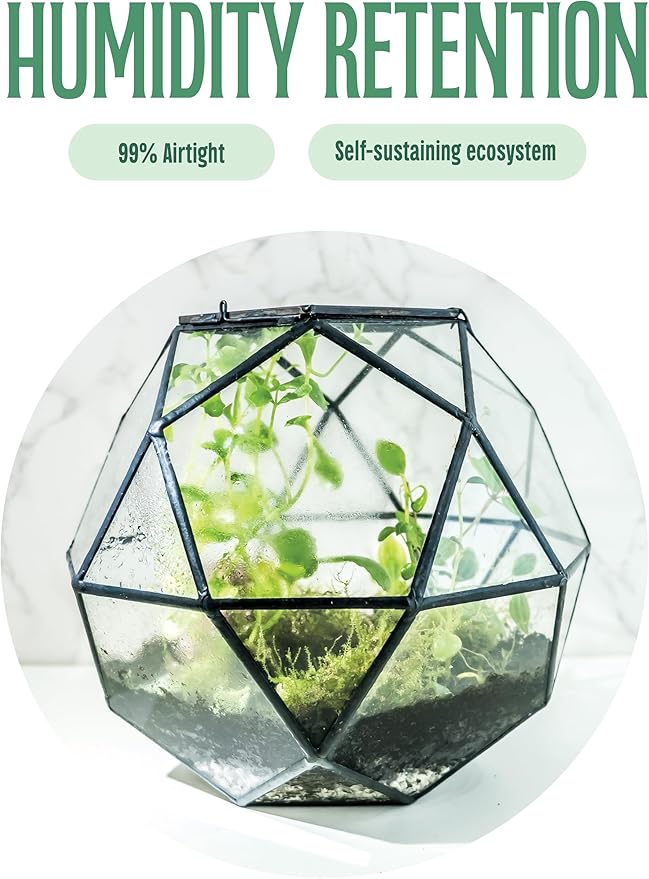 KraftStories Clear Glass Terrarium with Door | Sphere Design Container | Ideal Planter for Moss and Indoor Plants | Maintains Humidity | Self-Sustaining Indoor Garden Ecosystem (Only Terrarium)