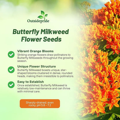 Outsidepride Butterfly Milkweed Seeds - 500 Pcs Perennial, Heat & Humid Tolerant, Pollinator-Friendly Wildflower Seeds, Ideal for Monarch Butterflies, Cut Flowers, Borders, or Meadows
