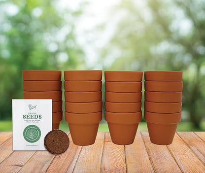 BUZZY Daisy Seeds & Genuine Terracotta 5cm Mini Pot Bulk Pack (20 Count), Includes 20 Each of pots, Soil pellets and Seeds - Great for Favors, Crafts, School Projects, Weddings, and Seed Starter Kits