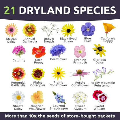 Drought Tolerant Wildflowers Mix – Bulk Quarter Pound Bag – Over 30,000 Open Pollinated Non-GMO Seeds – 21 Different Dryland Species