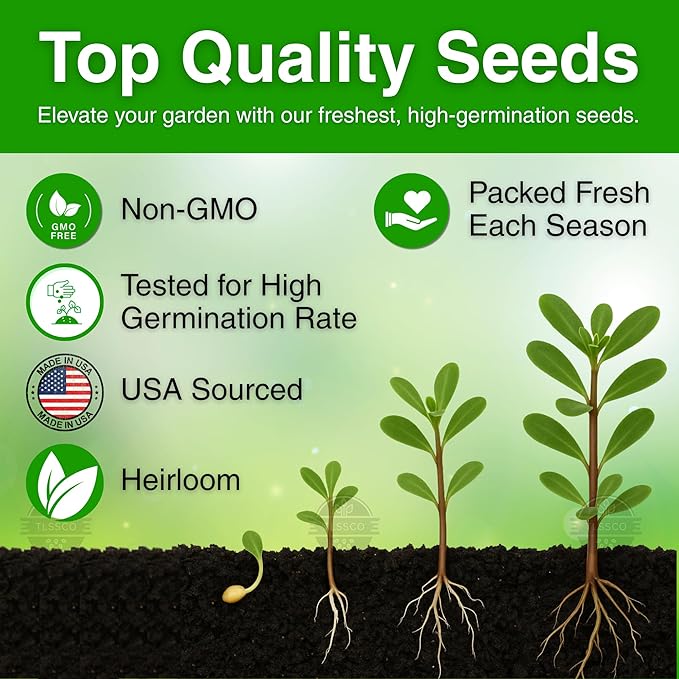 3000+ Green Purslane Seeds for Planting, Non-GMO Seeds – Fast-Growing, Authentic Flavor – High-Yielding, Heirloom
