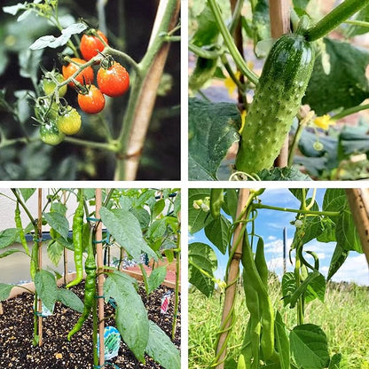Bamboo Stakes 6FT Garden Stakes Plant Stakes for Outdoor Climbing Plants Poles Support Mini Tree Vines Pole Beans Cucumber 20 Pack
