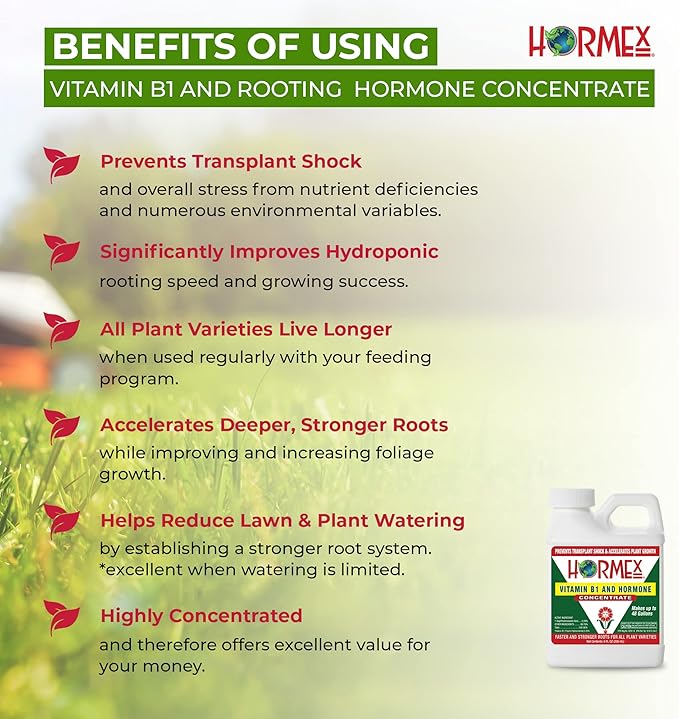 Hormex Rooting Hormone Concentrate with B1 – Root Growth Stimulator for Stronger, Thriving Plants - Prevents Transplant Shock - Hydroponics, Houseplants, Gardens, Trees, Fruits and Vegetables - 8oz