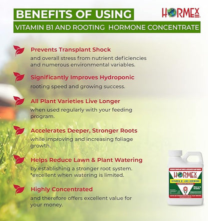 Hormex Rooting Hormone Concentrate with B1 – Root Growth Stimulator for Stronger, Thriving Plants - Prevents Transplant Shock - Hydroponics, Houseplants, Gardens, Trees, Fruits and Vegetables - 8oz