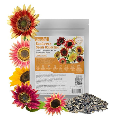 Sunflower Seeds for Planting, 15+ Varieties, 1 Oz, 300+ Mixed Seeds to Plant Colored Sunflower for Outdoors, Garden, Attracts Pollinators