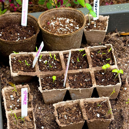10 Packs Seedling Starter Trays 120 Cells, Biodegradable Seed Germination Trays Plant Starter Peat Pots for Seedlings