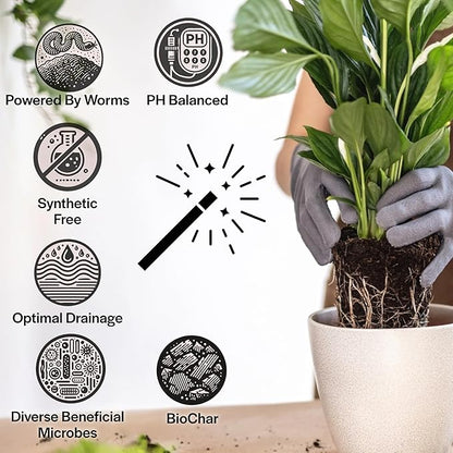 Craft Houseplant Potting Mix, Elite House Plant Soil, Chunky, Well Draining Potting Soil for Indoor Plants, Tropical Plants & Potted Plants, Sustainable & Peat Free, Less Prone to Gnats 4qt