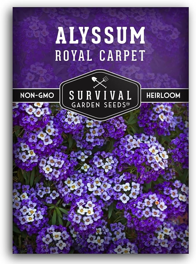 Alyssum Seeds for Planting - Sweet Royal Carpet Purple Alyssum - Fragrant Perennial Flower & Ground Cover - Heirloom Non-GMO - Survival Garden Seeds (1 Pack)