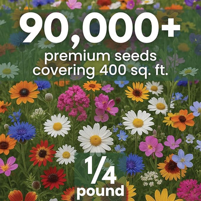 Drought Tolerant Mix – 90,000 Seeds for Planting – 2026 Season – 4 Ounce Pouch