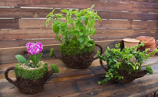 SuperMoss (55259) 5" Deco Watering Can Planter Basket, Small