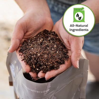 Perfect Plants Money Tree Potting Soil 4qt | Organic Coco Coir Based Plant Mix for Indoor Trees | Quickly Grow Your Indoor Forest