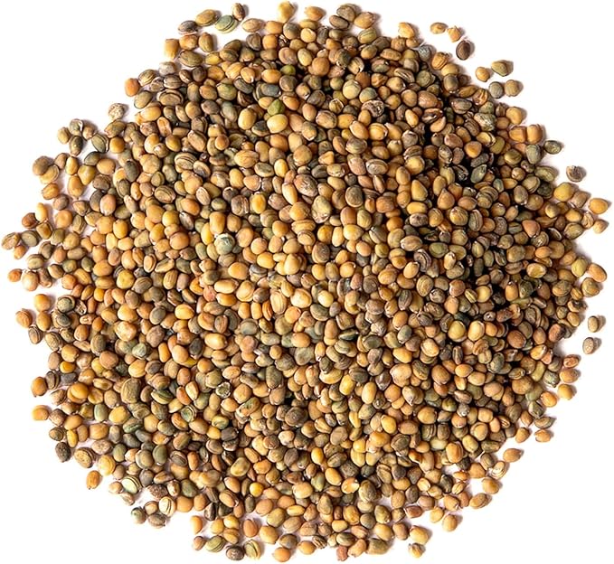 Food to Live Organic Arugula Sprouting Seeds, 2 Pounds – Non-GMO, Kosher, Great for Sprouting and Planting, High Germination Rate, Vegan Superfood, Bulk, Microgreens and Plants for Salads, San