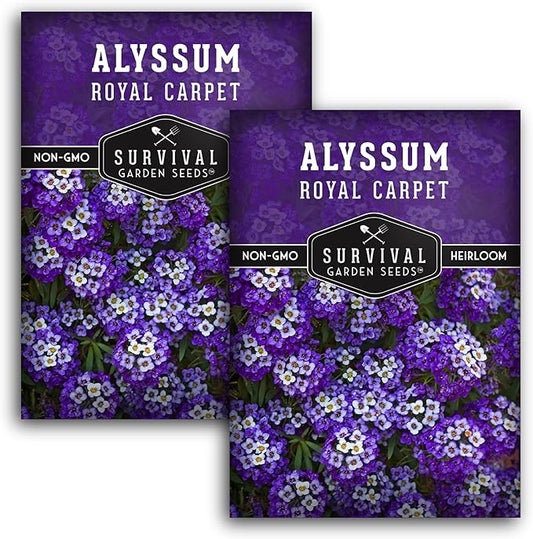 Alyssum Seeds for Planting - Sweet Royal Carpet Purple Alyssum - Fragrant Perennial Flower & Ground Cover - Heirloom Non-GMO - Survival Garden Seeds (2 Packs)