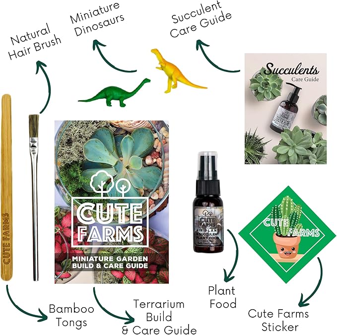 Cute Farms Glass Terrarium Kit | Just Add Your Own Plants (One Glass Bowl)
