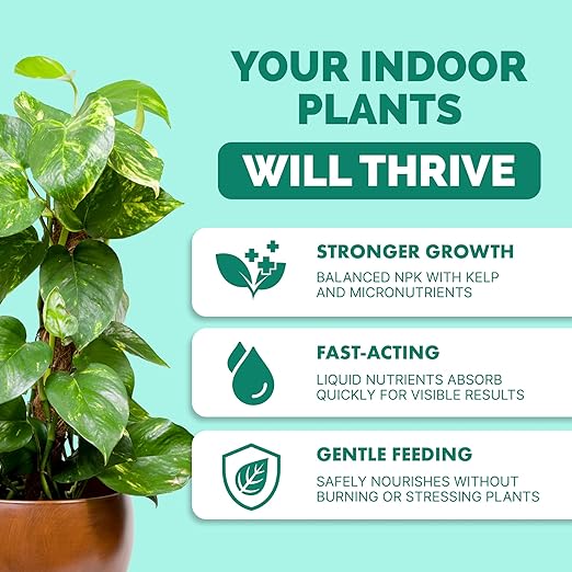 TPS NUTRIENTS Indoor Plant Food for Houseplants, Liquid Fertilizer, 1 Gallon (128 oz)