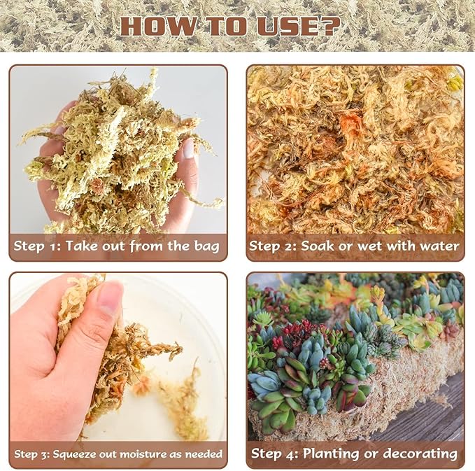 ZeeDix 4 qt Sphagnum Moss for Indoor Plants, Natural Dried Long Fiber Moss for Orchid Repotting, Carnivorous Plants, Succulents, Monstera, Flower & Reptile Terrariums Habitats (3 oz)