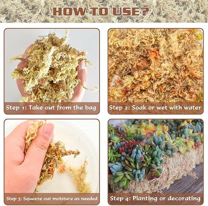 ZeeDix 4 qt Sphagnum Moss for Indoor Plants, Natural Dried Long Fiber Moss for Orchid Repotting, Carnivorous Plants, Succulents, Monstera, Flower & Reptile Terrariums Habitats (3 oz)