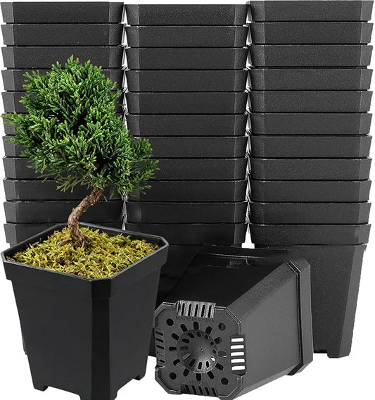 100 Pack 2.7 Inches Square Nursery Pot, Plastic Nursery Pots with Drainage Hole for Seedlings, Succulents, Potted Plants, Black